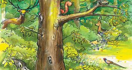 Động vật rừng