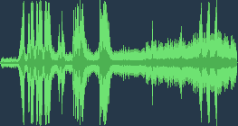 Chim đỏ đuôi thường gặp