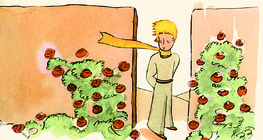 Hoàng tử bé với những bông hồng