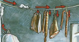 Cuộc sống của một con chuột nhà trong phòng đựng thức ăn và hầm