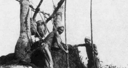 Shadoof, một thiết bị nâng nước truyền thống ở Ai Cập