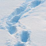 Dấu chân trong tuyết