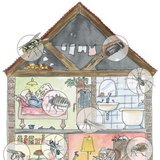 Các tòa nhà dân cư có thể lưu trữ nhiều loại động vật chân đốt