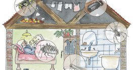 Các tòa nhà dân cư có thể lưu trữ nhiều loại động vật chân đốt