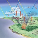 Hiệu ứng nhà kính