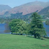 Công viên có thể được tìm thấy trong các khu vực bị phá rừng ở Anh