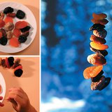 Thức ăn cho chim mùa đông