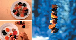 Thức ăn cho chim mùa đông