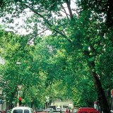 Máy bay Luân Đôn