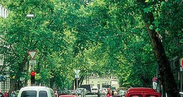 Máy bay Luân Đôn