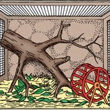 Tổ chức chuồng thú