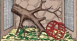 Tổ chức chuồng thú