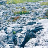 Bề mặt phủ đá vôi