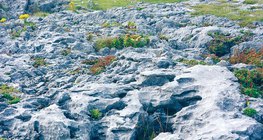 Bề mặt phủ đá vôi