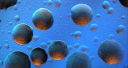 Thuộc địa vi khuẩn E. coli (nền màu)