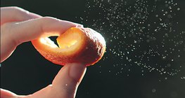 Tinh dầu - vỏ cam