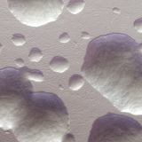 Các khuẩn lạc vi khuẩn E.coli (không màu, trắng)