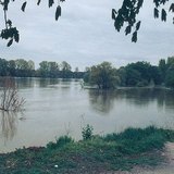 Thủy triều dâng cao tại sông Danube