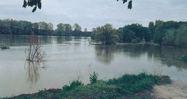 Thủy triều dâng cao tại sông Danube