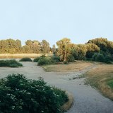 Thủy triều rút tại sông Danube