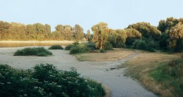 Thủy triều rút tại sông Danube