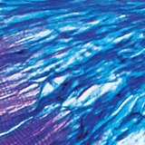 Kết nối giữa cơ và gân