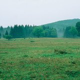 Bükk Plateau (Hungary)