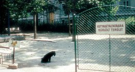 Khu vực đi bộ dành cho chó