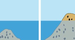 Rạn san hô và đảo