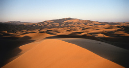 Cồn cát ở sa mạc Sahara