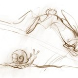 Con ốc chậm, trong khi con thỏ thì nhanh