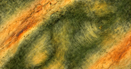 Nếp gấp da ngón tay người dưới ánh sáng phân cực