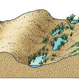 Hình thành cồn cát