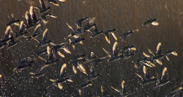 Trung tâm thương mại