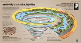 The Development of Fauna and Flora