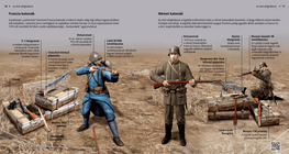 Soldiers in World War I (French, German)