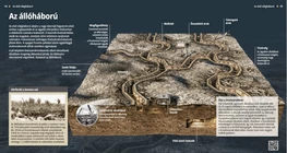Trench Warfare