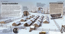 Soviet Labour Camp