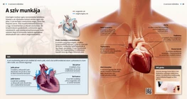 The Heart’s Work
