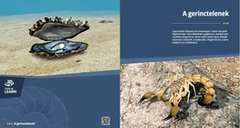 Invertebrates