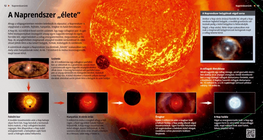 The Life Cycle of the Solar System