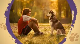 Chúng ta có thể hiểu ngôn ngữ của động vật không?