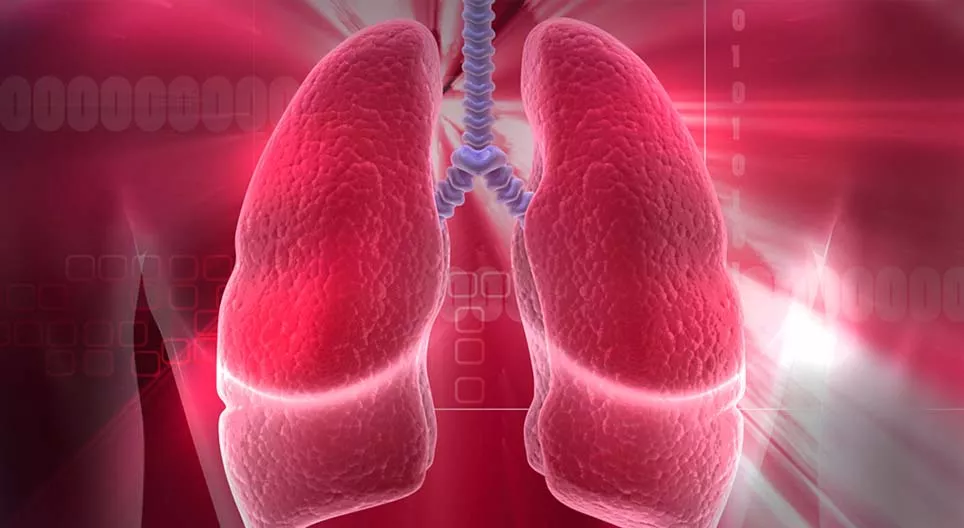 10 điều cần biết về hệ hô hấp của con người