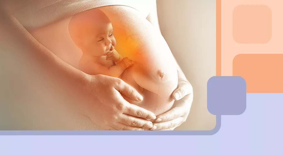 Điều gì xảy ra với cơ thể phụ nữ trong thời gian mang thai?