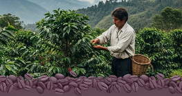 Thương mại công bằng