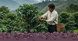 Thương mại công bằng