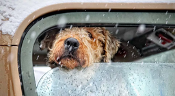 Dự án THỜI TIẾT