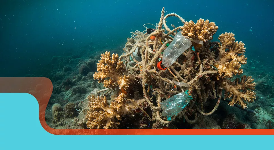 Các vấn đề về nhận thức môi trường và thói quen thân thiện với môi trường.