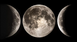 "Người bạn thiên thể của Trái Đất