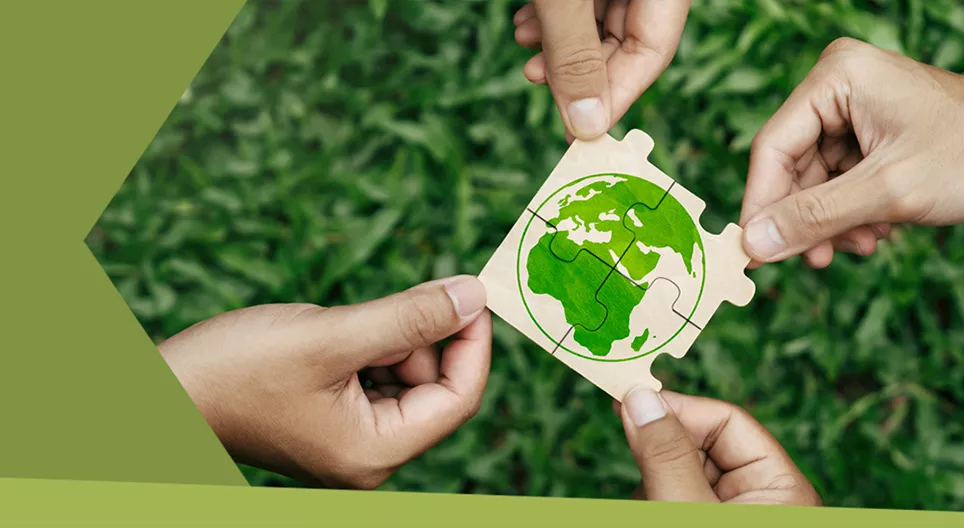 Sống bền vững có nghĩa là gì?